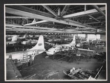 ORIGINAL PHOTOGRAPH  SHORTS