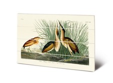 John james audubon - james,