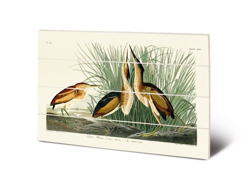 John james audubon - john,