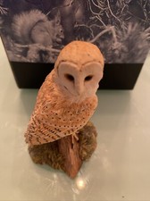 border fine arts animals