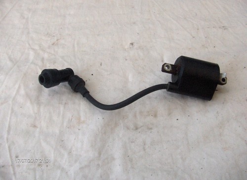 Coil lead and plug - lead,