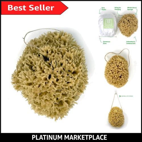 Luxurious 18cm unbleached sea - 18cm,