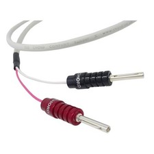 Chord Company Rumour X Speaker