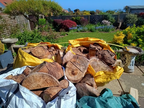 Eucalyptus logs seasoned - logs,