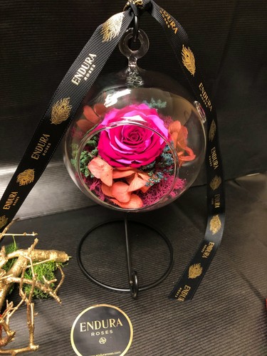 Allying endura roses 100 - by,