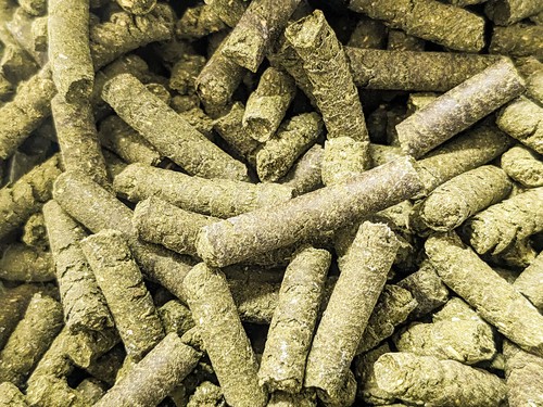 Mulberry shrimp snail food - food,