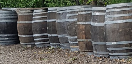 Whole 27 wine - x, 27"