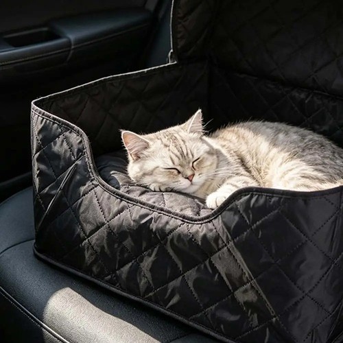 Pet dog car - pet,