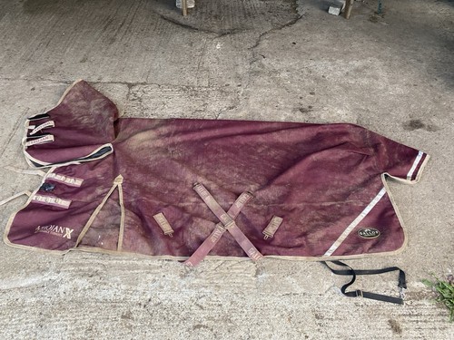 Gallop trojanx performance - gallop,
