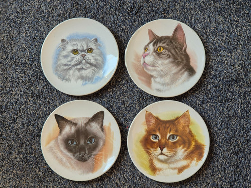 Vintage poole pottery - x,