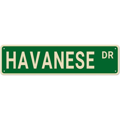 Havanese joke metal - havanese, tin