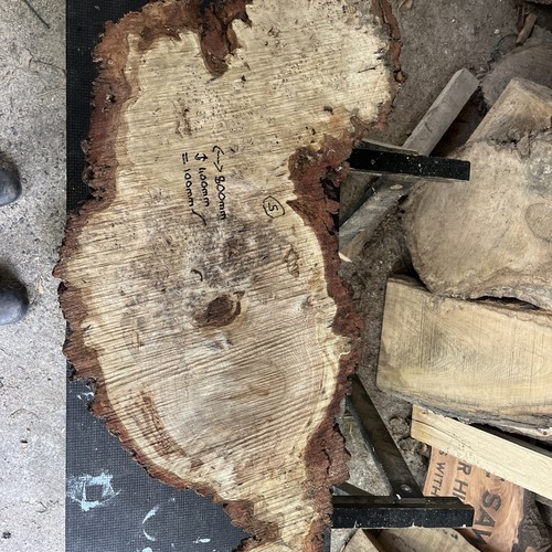 Green oak burr - burr, wood