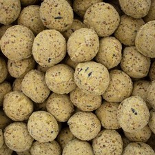 150 Wild Bird Suet Fatballs