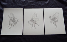 Original 3 small pencil