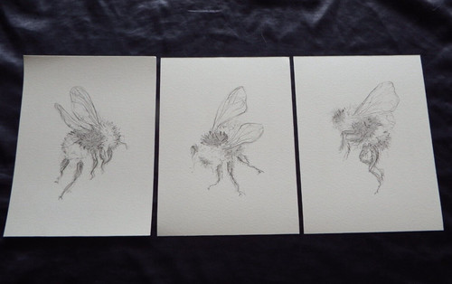 Original small pencil - original,