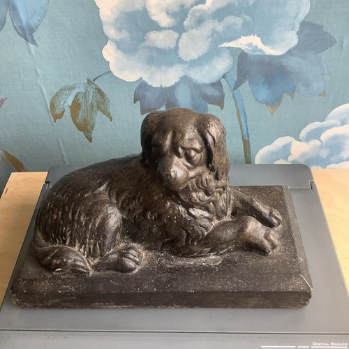 Newfoundland dog bernard - dog,
