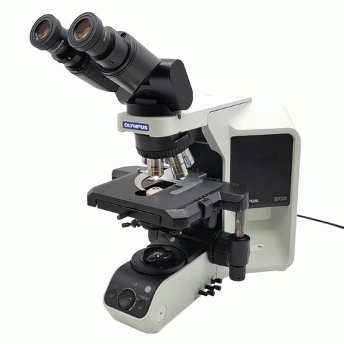 Olympus microscope bx53 with - olympus,