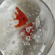 Bubble Art Glass Fish