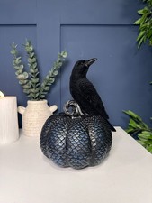 Black Crow on Pumpkin Spooky