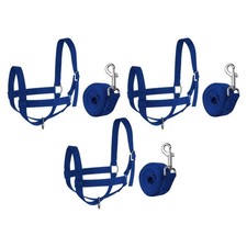 Cow Halter with Leading