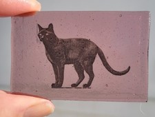 stained glass Black Cat