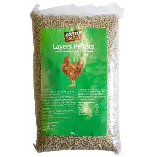 Chicken feed layers pellets - feed,