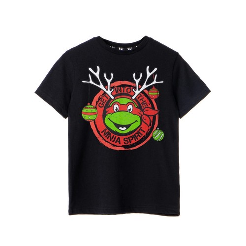 Teenage mutant ninja turtles - ninja,