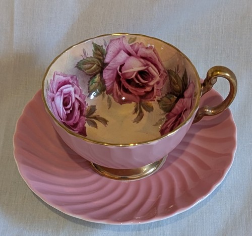 Paragon cabbage rose cup - paragon,