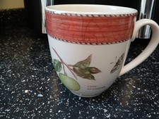 WEDGWOOD SARAH`S GARDEN LARGE MUG - TERRACOTTA