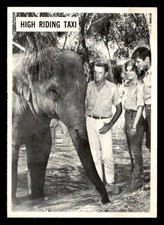 1966 Philadelphia Daktari #49