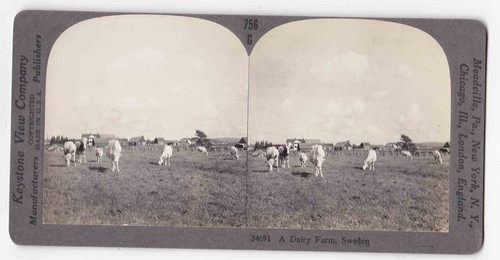 Antique 1910 swedish dairy - 1910,