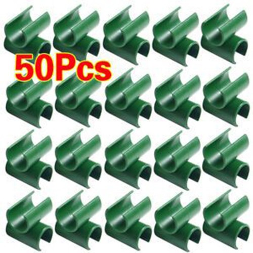 Plant support fruit - plant,