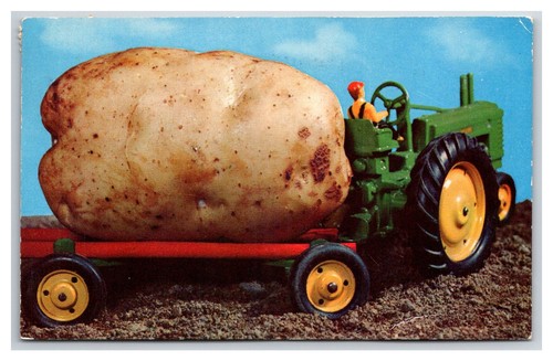 Postcard giant potato - postcard, humor