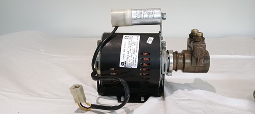 Water pump motor assembly - assembly, for