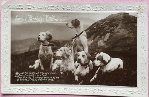 Vintage dog postcard english - vintage,