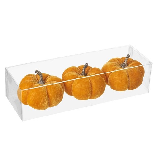 Halloween decorations heaven - -,