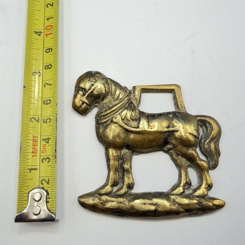 Shire horse with harness - horse,