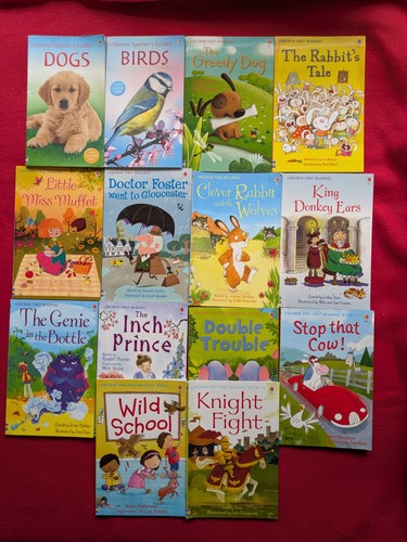 Usborne early readers book - usborne,