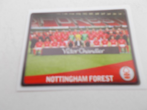 Sticker panini npower - ,