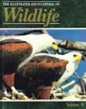 Orbis: The Illustrated