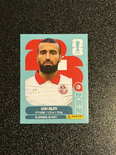 Naim sliti tun 20 - 20, panini