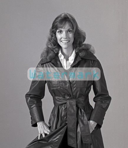 Karen carpenter portrait - karen,