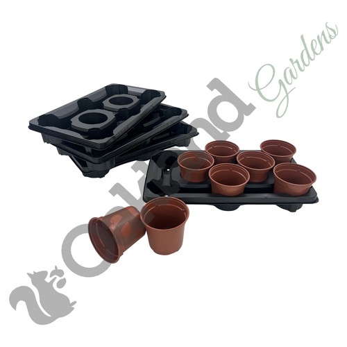 Plant pots with carry trays - plant,