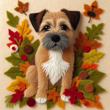 Luxury Border Terrier Birthday