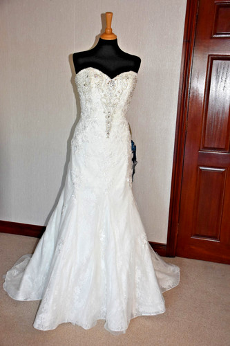 Mark lesley wedding - mark, dress