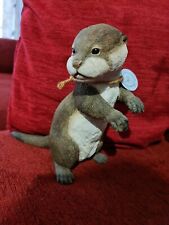 country artists natural world