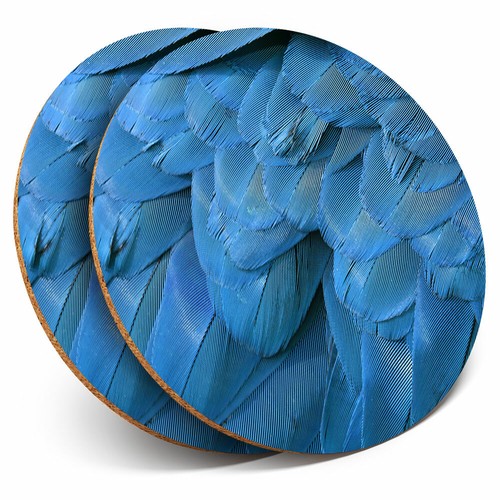 Coasters blue macaw - 2, x