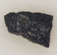 Hadrosaur Egg Shell Fossil -