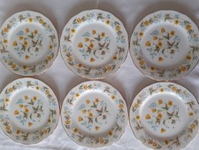 6 x Colclough  Angela  8647