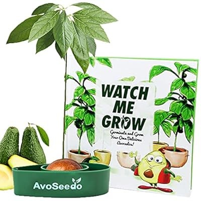 Avoseedo bowl grow your own - avoseedo,
